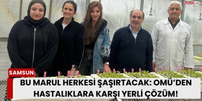 Bu Marul Herkesi Şaşırtacak: OMÜ’den Hastalıklara Karşı Yerli Çözüm!