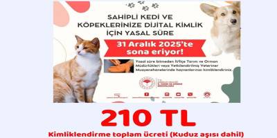 Evcil Hayvan Sahipleri Dikkat! Süre Dolmadan Başvurun!