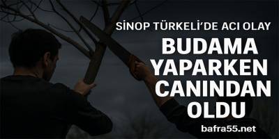 Sinop’un Türkeli İlçesinde Budama Kazası: Bir Kişi Hayatını Kaybetti