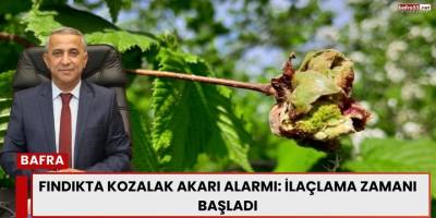 Fındıkta Kozalak Akarına Karşı Kritik Uyarı: İlaçlama Zamanı Geldi