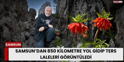 Samsun’dan 850 Kilometre Yol Gidip Ters Laleleri Görüntüledi