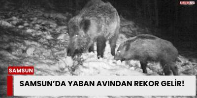 Samsun’da Yaban Avından Rekor Gelir!