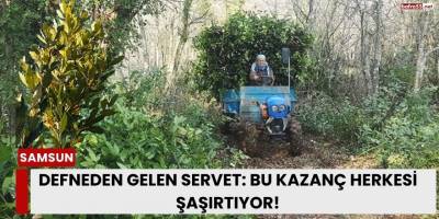 Defneden Gelen Servet: Bu Kazanç Herkesi Şaşırtıyor!