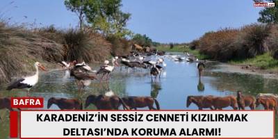 Karadeniz’in Sessiz Cenneti Kızılırmak Deltası’nda Koruma Alarmı!