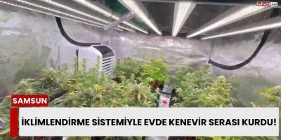 İklimlendirme Sistemiyle Evde Kenevir Serası Kurdu!