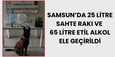 Samsun'da 25 Litre Sahte Rakı ve 65 Litre Etil Alkol Ele Geçirildi