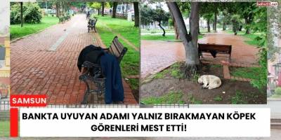 Bankta Uyuyan Adamı Yalnız Bırakmayan Köpek Görenleri Mest Etti!