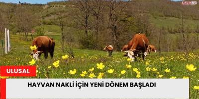 Hayvan Nakli İçin Yeni Dönem Başladı
