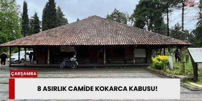 8 Asırlık Camide Kokarca Kabusu!