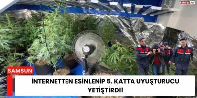 İnternetten Esinlenip 5. Katta Uyuşturucu Yetiştirdi