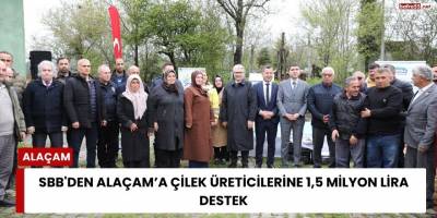 SBB'den Alaçam’a Çilek Üreticilerine 1,5 Milyon Lira Destek