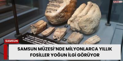 Samsun Müzesi’nde Milyonlarca Yıllık Fosiller Yoğun İlgi Görüyor