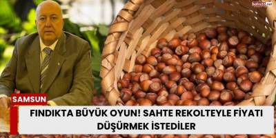 Fındıkta Büyük Oyun! Sahte Rekolteyle Fiyatı Düşürmek İstediler