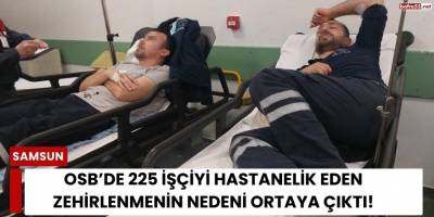 225 işçiyi hastanelik eden zehirlenmenin nedeni ortaya çıktı!
