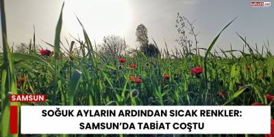 Soğuk Ayların Ardından Sıcak Renkler: Samsun’da Tabiat Coştu