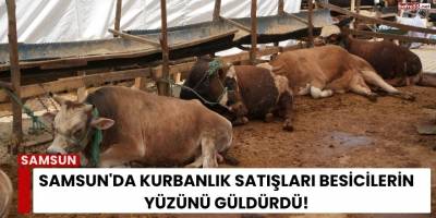 Samsun'da Kurbanlık Satışları Besicilerin Yüzünü Güldürdü