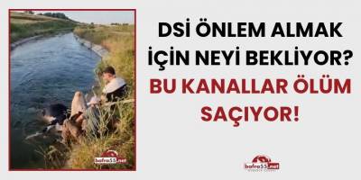 Bafra’da Önlemsiz Kanallar Tehlike Saçıyor: Bu Kez Bir İnek Kanala Düştü