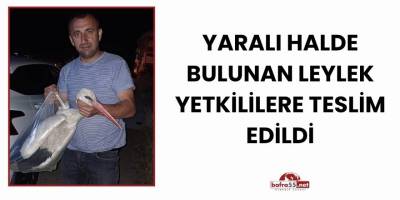 Yaralı Halde Bulunan Leylek Yetkililere Teslim Edildi