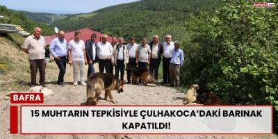 15 Muhtarın Tepkisiyle Çulhakoca’daki Barınak Kapatıldı!