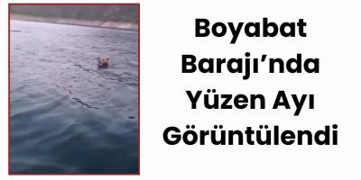 Boyabat Barajı’nda Yüzen Ayı Görüntülendi