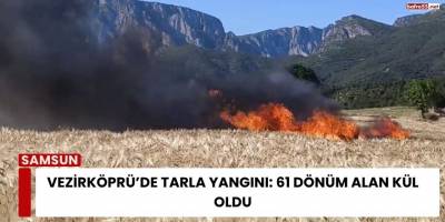 Vezirköprü’de Tarla Yangını: 61 Dönüm Alan Kül Oldu