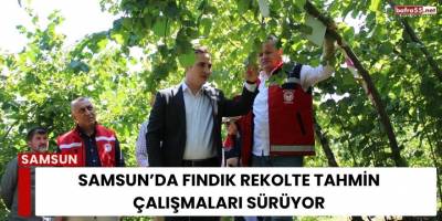 Samsun’da Fındık Rekolte Tahmin Çalışmaları Sürüyor