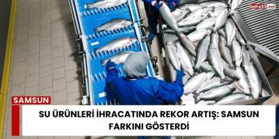 Su Ürünleri İhracatında Rekor Artış: Samsun Farkını Gösterdi