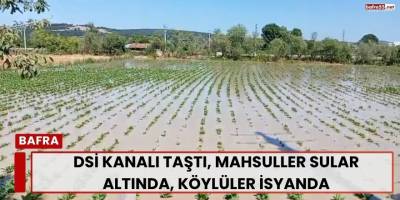 DSİ Kanalı Taştı, Mahsuller Sular Altında, Köylüler İsyanda
