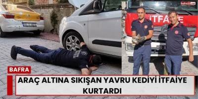 Araç Altına Sıkışan Yavru Kediyi İtfaiye Kurtardı