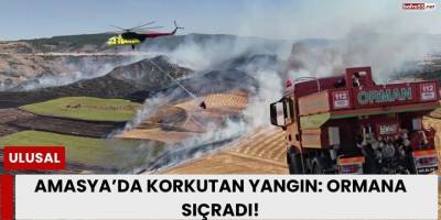 Merzifon’da Tarlada Başlayan Yangın Ormana Sıçradı