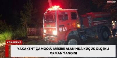 Yakakent Çamgölü Mesire Alanında Küçük Ölçekli Orman Yangını