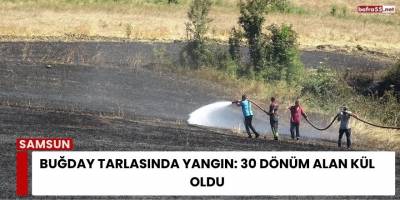 Buğday Tarlasında Yangın: 30 Dönüm Alan Kül Oldu