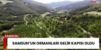 Samsun’un Ormanları Gelir Kapısı Oldu