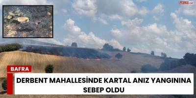 Derbent Mahallesinde Kartal Anız Yangınına sebep oldu