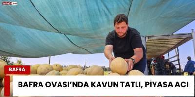 Bafra Ovası’nda Kavun Tatlı, Piyasa Acı