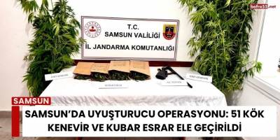 Samsun’da Uyuşturucu Operasyonu: 51 Kök Kenevir ve Kubar Esrar Ele Geçirildi