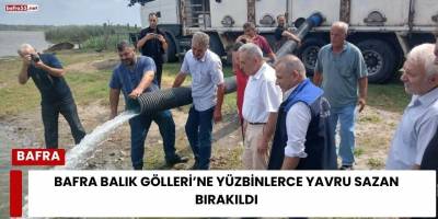 Bafra Balık Gölleri’ne Yüzbinlerce Yavru Sazan Bırakıldı