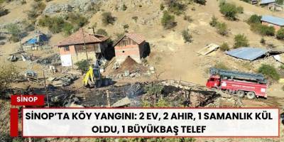 Sinop’ta Köy Yangını: 2 Ev, 2 Ahır, 1 Samanlık Kül Oldu, 1 Büyükbaş Telef