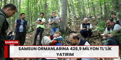 Samsun Ormanlarına 426,9 Milyon TL’lik Yatırım