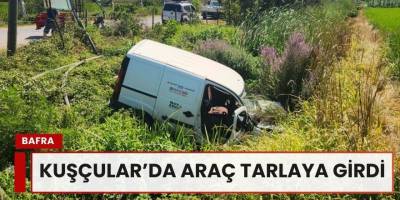 Kuşçular’da Araç Tarlaya Girdi