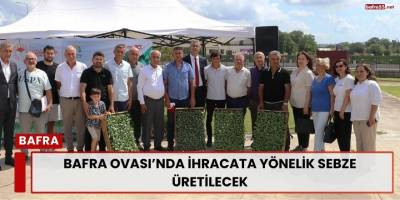 Bafra Ovası’nda İhracata Yönelik Sebze Üretilecek