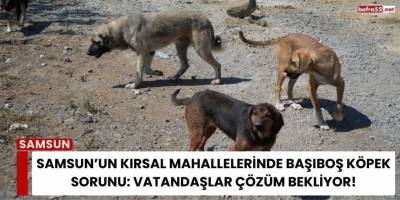 Samsun’un Kırsal Mahallelerinde Başıboş Köpek Sorunu: Vatandaşlar Çözüm Bekliyor