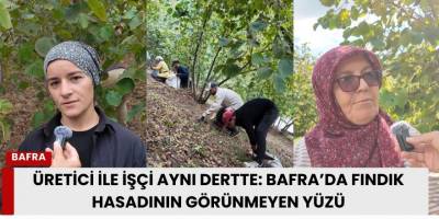 Üretici ile İşçi Aynı Dertte: Bafra’da Fındık Hasadının Görünmeyen Yüzü