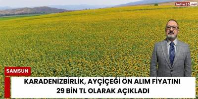 KARADENİZBİRLİK, Ayçiçeği Ön Alım Fiyatını 29 Bin TL Olarak Açıkladı