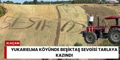 Yukarıelma Köyünde Beşiktaş Sevgisi Tarlaya Kazındı