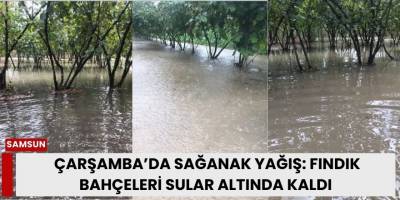 Çarşamba’da Sağanak Yağış: Fındık Bahçeleri Sular Altında Kaldı