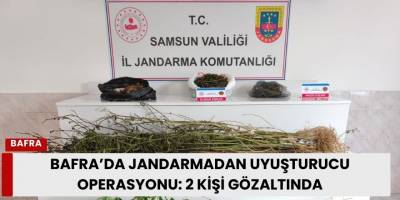 Bafra’da Jandarmadan Uyuşturucu Operasyonu: 2 Kişi Gözaltında