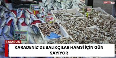 Karadeniz’de Balıkçılar Hamsi İçin Gün Sayıyor