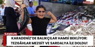 Karadeniz’de Balıkçılar Hamsi Bekliyor: Tezgâhlar Mezgit ve Sardalya ile Doldu