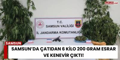 Samsun’da 6 Kilo 200 Gram Kubar Esrar ve Kenevir Ele Geçirildi: 2 Gözaltı